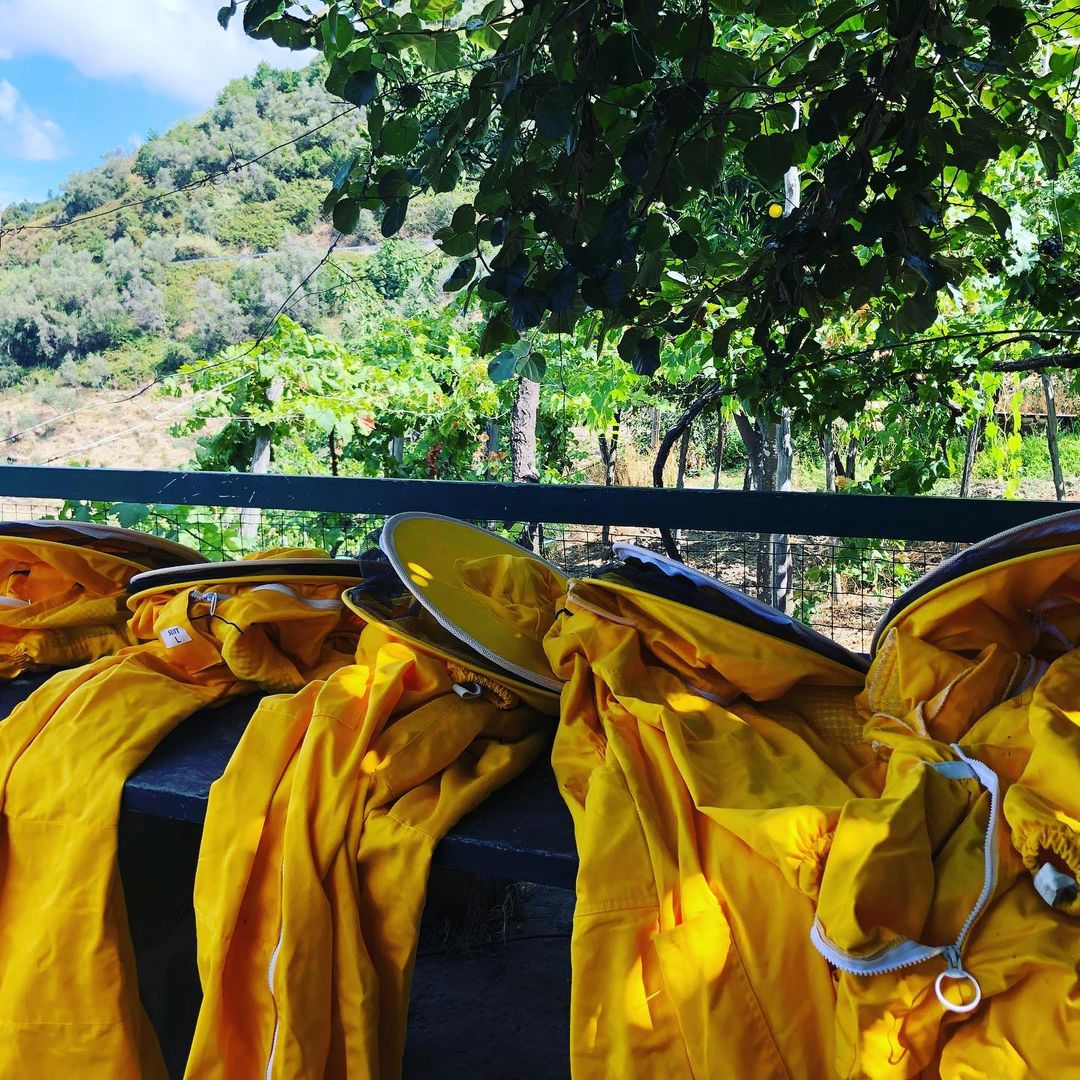 Ensuring Safety and Comfort: The Evolution of Protective Equipment and Clothing