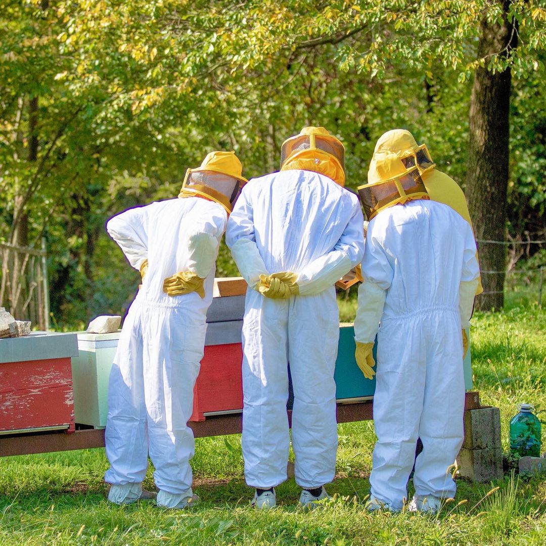 beekeeping suits white for beekeepers bee hive bee tools