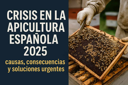 apicultura espanola