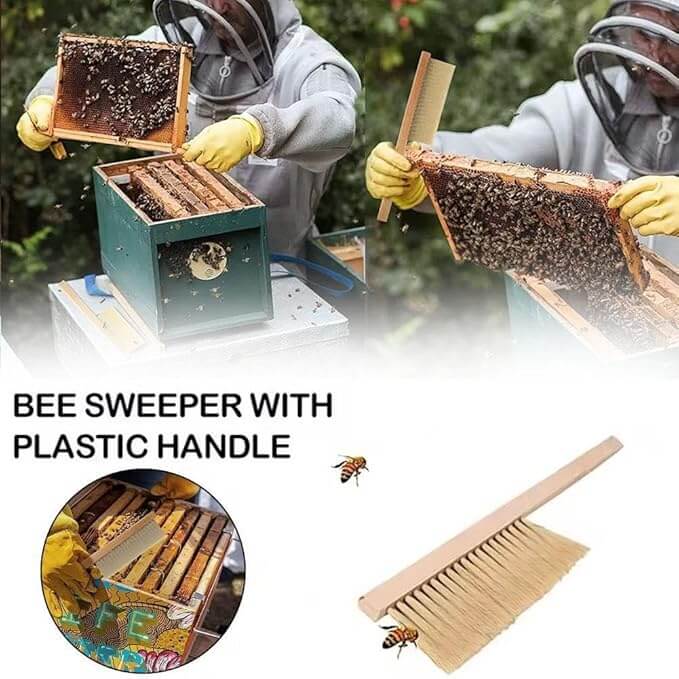 Beekeeping brushes for cleaning hives