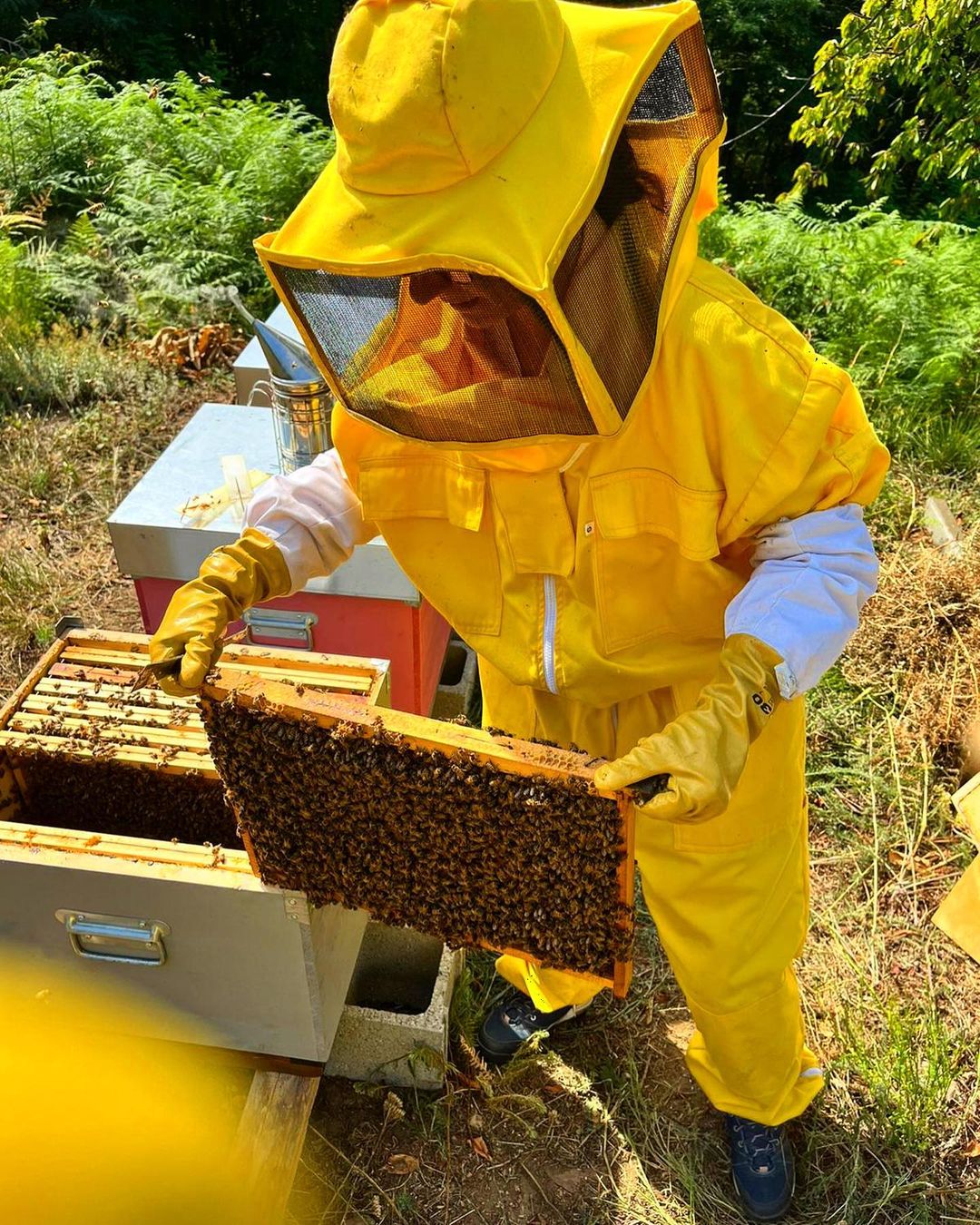Tuta Da Apicoltore Professionale URBANSBEE In Cotone - Protezione Contro Punture Di Api (Giallo, XL) - Foto 5
